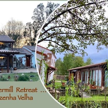 דירות וילה נובה דה פויארס The Old Watermill Retreat - O Retiro Da Azenha Velha מראה חיצוני תמונה