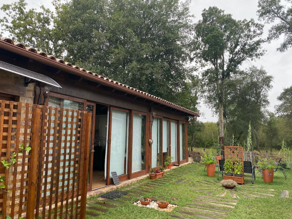 דירות וילה נובה דה פויארס The Old Watermill Retreat - O Retiro Da Azenha Velha מראה חיצוני תמונה