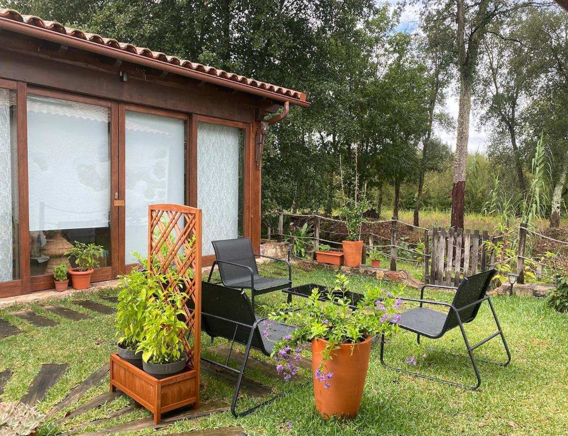 דירות וילה נובה דה פויארס The Old Watermill Retreat - O Retiro Da Azenha Velha מראה חיצוני תמונה