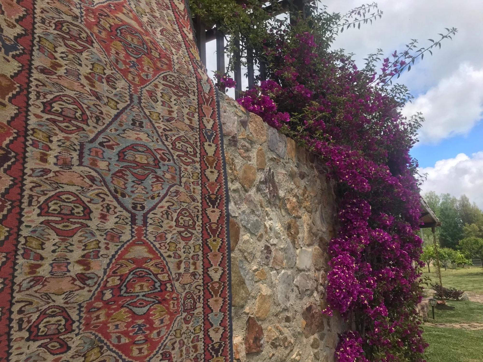 דירות וילה נובה דה פויארס The Old Watermill Retreat - O Retiro Da Azenha Velha מראה חיצוני תמונה