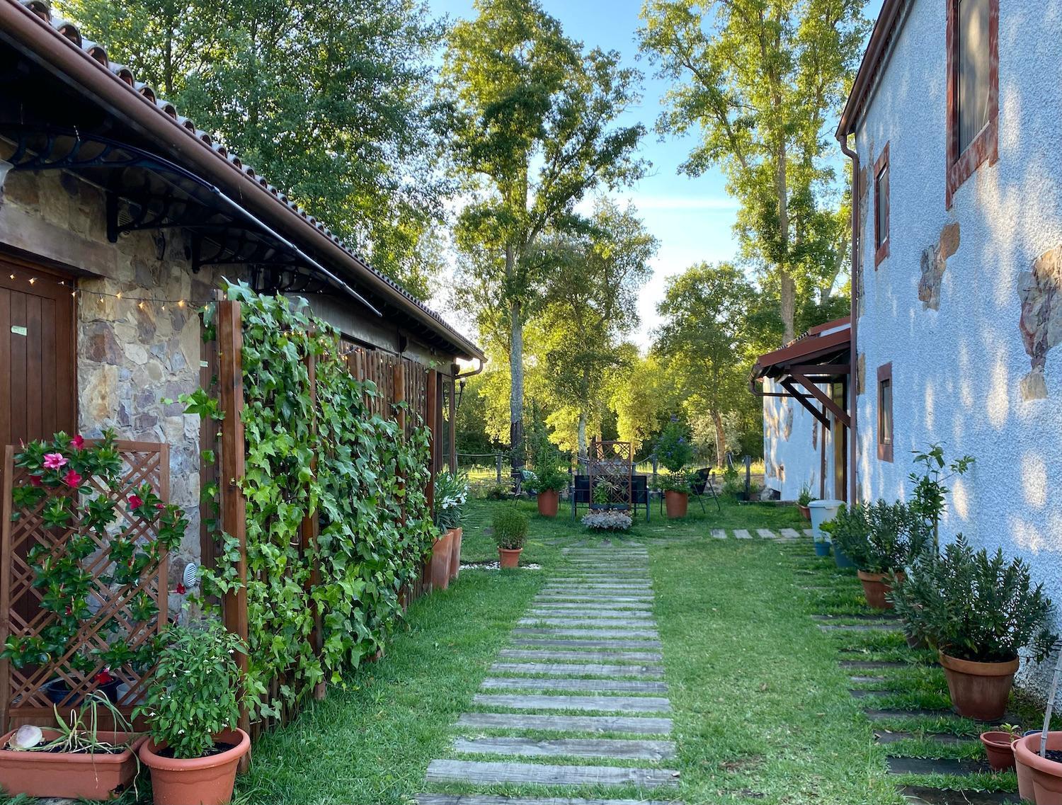 דירות וילה נובה דה פויארס The Old Watermill Retreat - O Retiro Da Azenha Velha מראה חיצוני תמונה